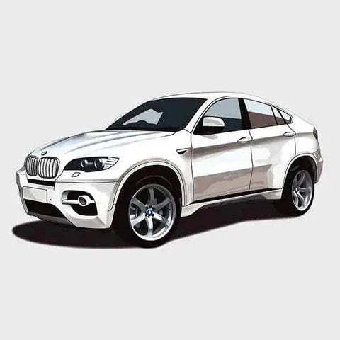 BMW X6 Series E71 (2008-2014)