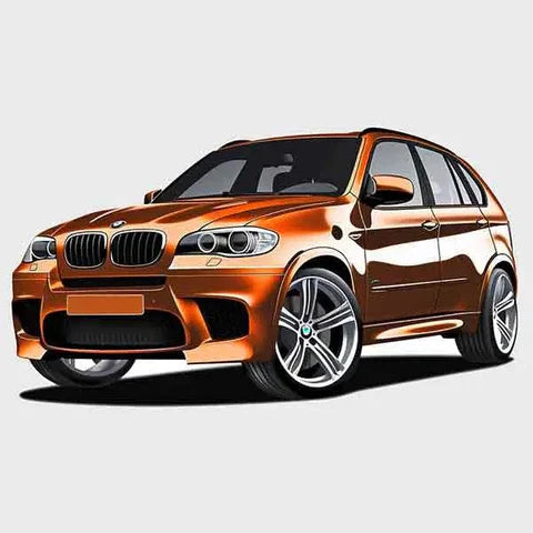 BMW X5M E70 SUV (2009-2013)